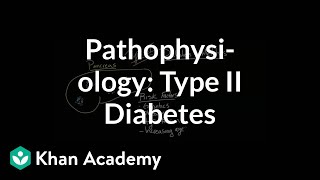 Pathophysiology  Type II diabetes  Endocrine system diseases  NCLEXRN  Khan Academy [upl. by Ezirtaeb]