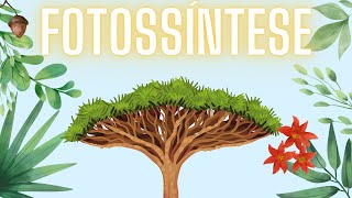 Fotossíntese A alimentação das plantas [upl. by Emmaline]