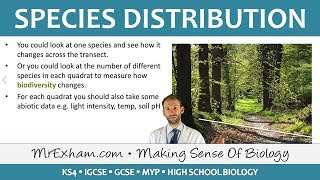 Ecology  Species Distribution Fieldwork  GCSE Biology 91 [upl. by Gayla747]