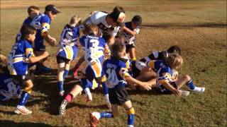 Quilpie Magpies [upl. by Lipinski]