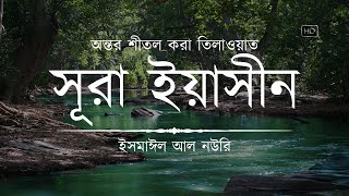 অন্তর শীতল করা সূরা ইয়াসিন এর তিলাওয়াত ┇ Surah Yasin Recited by Ismail An Nouri ┇ An Nafee [upl. by Aiym550]