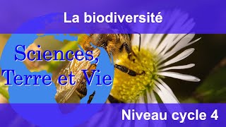 La biodiversité [upl. by Anitnas]