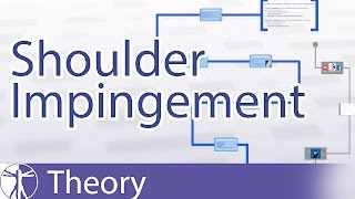 Shoulder Impingement Explained [upl. by Mac]