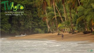 Recorrido Turístico por Bahía Solano Chocó Colombia  TvAgro por Juan Gonzalo Angel [upl. by Rochella]