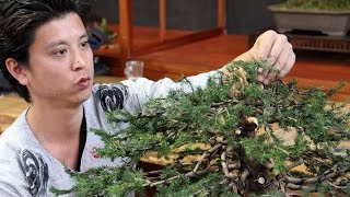 Bonsai demo by Masashi Hirao [upl. by Liam]