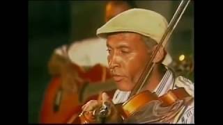 the best violinist on Cape Verde [upl. by Woodford]