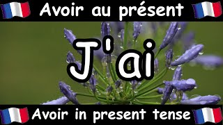 AVOIR To Have Conjugation Song  Present Tense  French Conjugation  Le Verbe AVOIR [upl. by Anera]