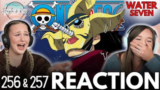 WHO Is That  ONE PIECE  Reaction 256 amp 257 [upl. by Rednaeel]