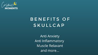 Benefits of Skullcap [upl. by Mcdonald]