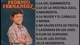 Pedro Fernández SUS MEJORES CANCIONES MIX DE EXITOS ROMANTICOS [upl. by Karly]