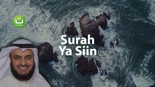 Surah YASIN Merdu dan Menyejukkan  Mishari Rasyid AlAfasy  Tadabbur Daily [upl. by Shatzer]