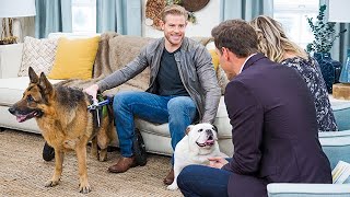 Trevor Donovan and His Dogs  Home amp Family [upl. by Donaugh]