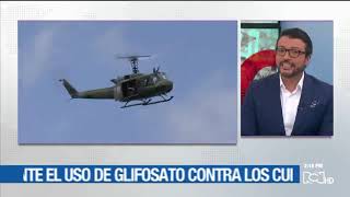 Sí o No ¿Cree que Colombia debería abandonar el uso de glifosato contra cultivos ilícitos [upl. by Chun]