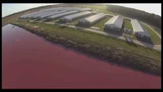 Spy Drones Expose Smithfield Foods Factory Farms [upl. by Eeuqram]