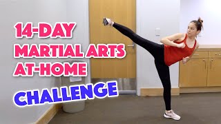 14Day Martial Arts Workout Challenge Day 1 [upl. by Suitangi]