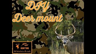 DIY Skull Cap Deer Mount [upl. by Alben828]