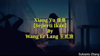 Xiang Yu 像鱼 Seperti ikan  王贰浪 Wang Er Lang amp lyricslirik [upl. by Orme]