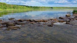 Where Does The Mississippi River Begin Lake Itasca MN 4K video [upl. by Tterab335]