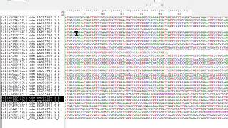 Sequence Extraction using bioedit Part 1 [upl. by Nancee]