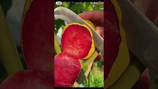 Beautiful Fruits। fruits fruitcutting training sorts [upl. by Omari]