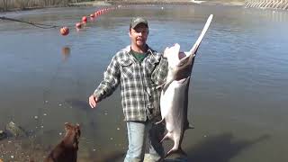 Snagging Spoonbill Fort Gibson Dam in Oklahoma [upl. by Audie]