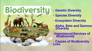 biodiversity its types alpha beta gamma diversity importance amp loss of biodiversity [upl. by Leddy]