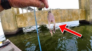 SIMPLE Way To Catch TONS Of Catfish [upl. by Normy]