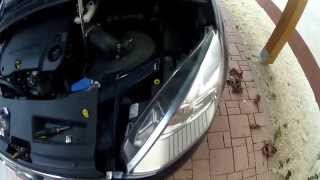 Ford Galaxy  SMax H7 wechseln  Replacing Car Headlight Bulbs [upl. by Nahtnaoj32]