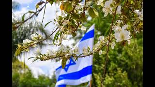 Israeli National Anthem  Hatikva התקווה [upl. by Eirollam]