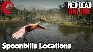 Spoonbills Locations rdr2 Online  Red Dead Online Spoonbills Location Guide [upl. by Eisej281]