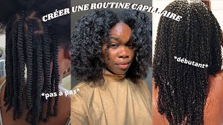 COMMENT CRÉER SA ROUTINE CAPILLAIRE CHEVEUX CRÉPUS  BOUCLÉSFRISÉS [upl. by Nereids566]