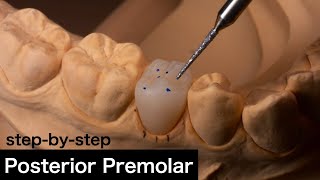 Making a Ceramic Premolar  StepByStep【Dental lab】 [upl. by Newkirk]