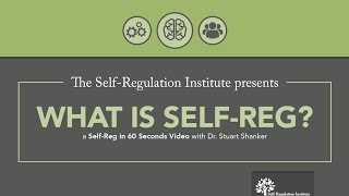 What is SelfReg  Self Regulation Institute with Dr Stuart Shanker [upl. by Louth]