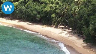 Tobago traveldocumentary from the season quotCaribbean Momentsquot [upl. by Novehc700]