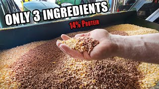 EASY PIG FEED MIX  Only 3 Ingredients 14 Protein [upl. by Eulaliah]