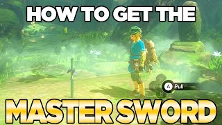 How To Get The Master Sword in Breath of the Wild  Austin John Plays [upl. by Aissac435]