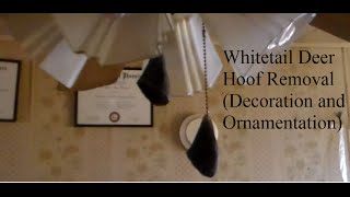 How To Remove and Reuse Whitetail Deer Hooves [upl. by Packer]