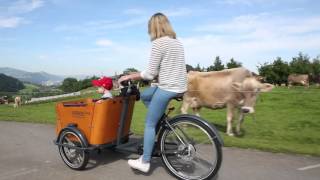 Introduction Babboe Mountain Cargobikes [upl. by Ekle]