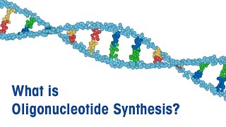 What is Oligonucleotide Synthesis [upl. by Ettedranreb]