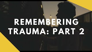 Remembering Trauma Part 2 Expert Commentary  Official Film 2017 [upl. by Aynekat]