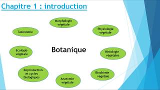 biologie végétale [upl. by Satsoc]