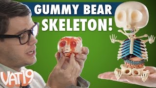 Gummy Bear Skeleton [upl. by Iaht]