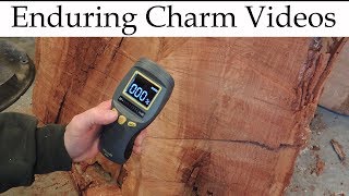 Moisture Meter Review General MM8 And MM9 [upl. by Yevoc429]