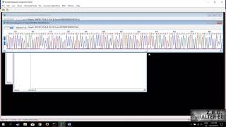 Tutorial Bioedit [upl. by Akitahs201]