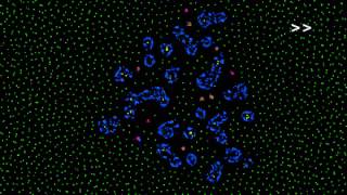 How life emerges from a simple particle motion law Introducing the Primordial Particle System [upl. by Dawna]