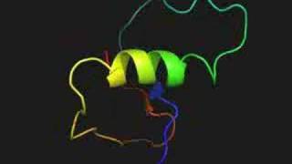 Protein folding simulation from denatured to native state [upl. by Anillek]