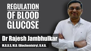 13 Regulation of blood glucose level [upl. by Moretta]