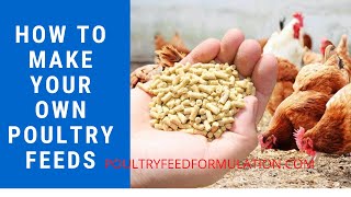 Poultry Feed Formulation How to Make your Own Poultry Feed HD [upl. by Anaibib]