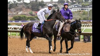 Aqueduct Replay  Remsen Stakes 2023 [upl. by Nazario]