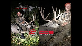 177quot amp 183quot Wyoming High Country Mule Deer Hunt 2019 DIY w Pack Goats 65 Creedmoor 640 amp 200yds [upl. by Tedmann]